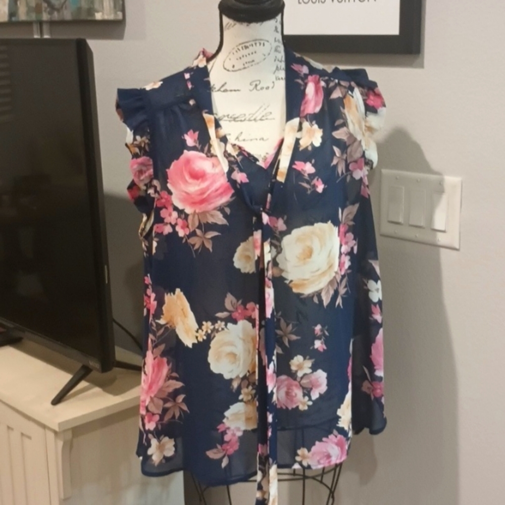 Sweet Rain blouse semi sheer, blue, off white and pink, re-poshing. Gently worn.